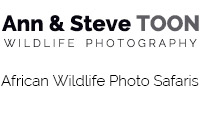 Ann & Steve Toon African Photo Safaris