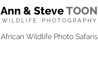Ann & Steve Toon African Photo Safaris